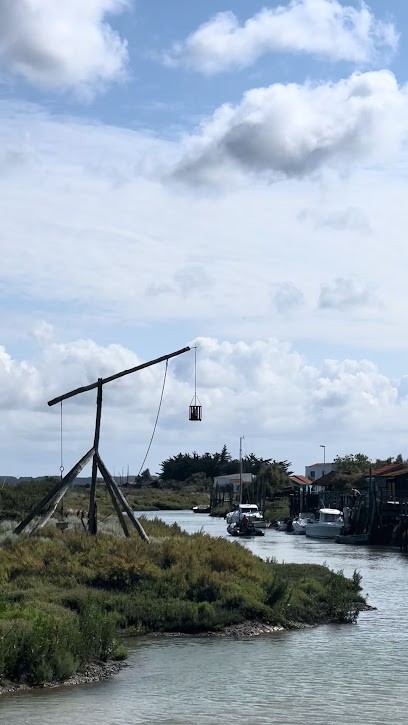 Bibliothèque, Bibliothèque à Mornac-sur-Seudre