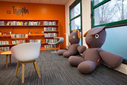 Bibliothèque De Saran, Bibliothèque à Saran