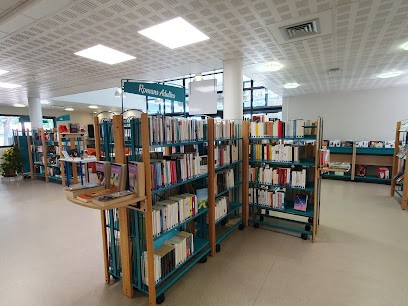 Médiathèque Henri Emmanuelli, Bibliothèque à Rion-des-Landes
