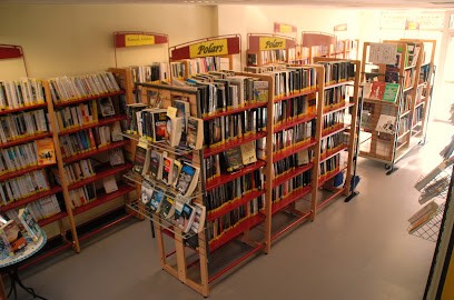Bibliothèque, Bibliothèque à Vaas