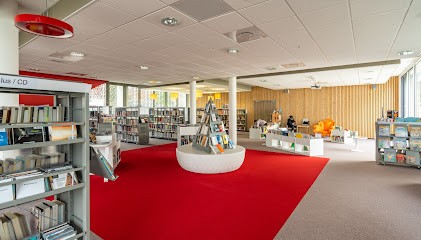 Bibliothèque De Soullans, Bibliothèque à Soullans