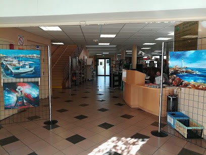 Médiathèque Michel Berger, Bibliothèque à Noyelles-Godault