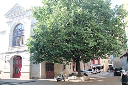 Bibliothèque Le Puy En Velay, Bibliothèque à Aiguilhe