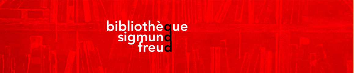 Bibliothèque Sigmund Freud, Bibliothèque à Paris 13