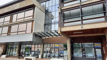 Bibliothèque Alphonse De Lamartine, Bibliothèque à Mende