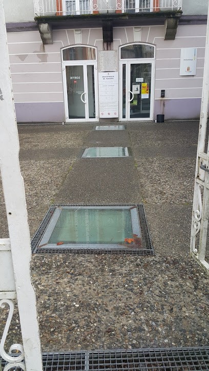 Médiathèque De Pamiers, Bibliothèque à Pamiers