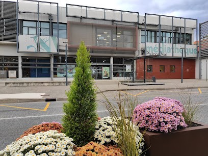 Médiathèque Philippe Vial, Bibliothèque à Voiron