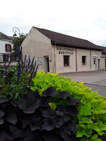 Bibliothèque De Champignelles, Bibliothèque à Champignelles
