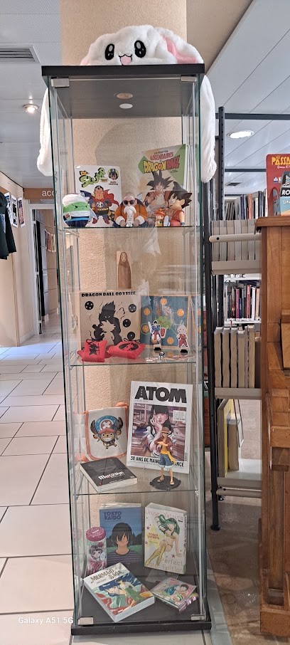 Médiathèque Isidore Rollande, Bibliothèque à Châteaurenard