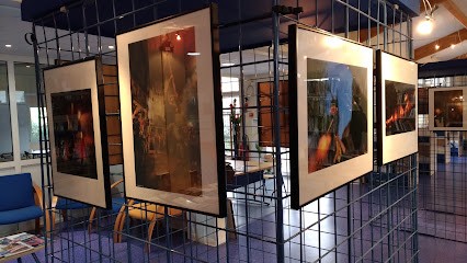 Bibliothèque Le Boulou, Bibliothèque au Boulou