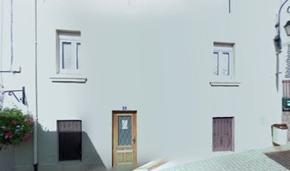 Bibliothèque, Bibliothèque à Thizy-les-Bourgs