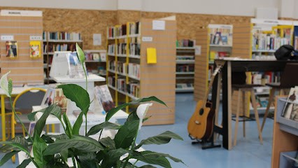 Bibliothèque, Bibliothèque à Saint-André-des-Eaux