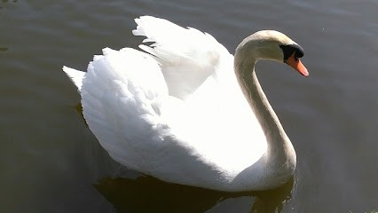 Médiathèque de Breteuil, Bibliothèque à Breteuil