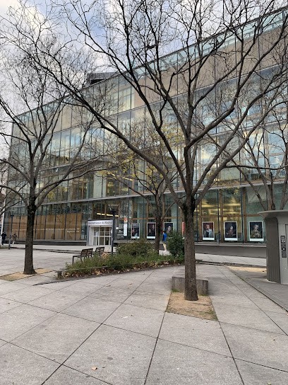 Bibliothèque Bachut, Bibliothèque à Lyon 08