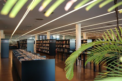 Media Library Of Sarreguemines, Bibliothèque à Sarreguemines