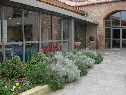 Bibliothèque, Bibliothèque à Llupia