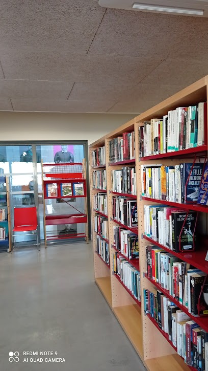 Médiathèque De Labruguière CACM, Bibliothèque à Labruguière