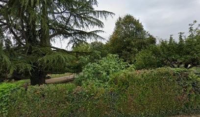 Bibliothèque Municipale, Bibliothèque à Champagnier