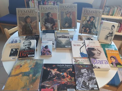 Bibliothèque Municipale, Bibliothèque à Zonza