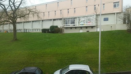 Bibliothèque Louis Aragon, Bibliothèque à Châtenay-Malabry