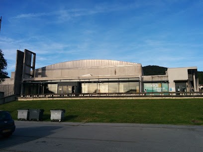 Médiathèque Intercommunale De La Porte Des Vosges Méridionales - Antenne De Saint-Nabord, Bibliothèque à Saint-Nabord
