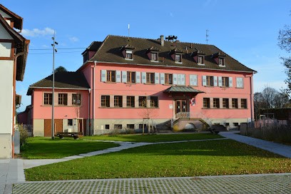 Bibliothèque de Baldenheim, Bibliothèque à Baldenheim