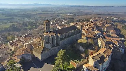 Bibliothèque, Bibliothèque à Montréal