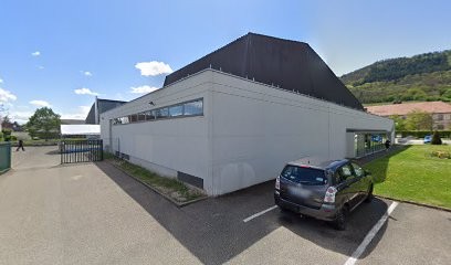 Bibliothèque de Châtenois, Bibliothèque à Baldenheim