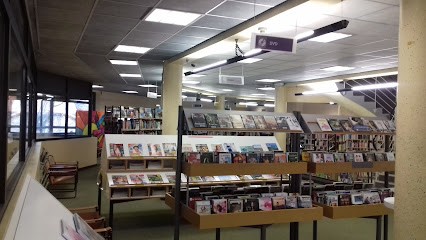 Médiathèque Jean Besson, Bibliothèque à Tarare