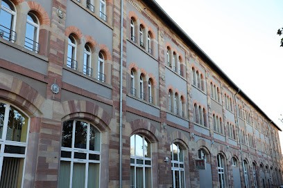 Médiathèque du Château de Benfeld, Bibliothèque à Benfeld