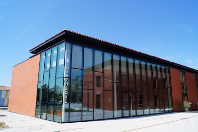 Médiathèque Municipale De Mondonville, Bibliothèque à Mondonville