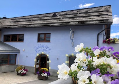 Bibliothèque De Saint-Chaffrey, Bibliothèque à Saint-Chaffrey