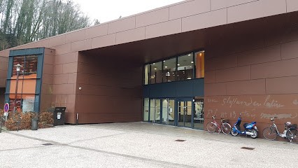 Bmi - Inter Media Library Epinal, Bibliothèque à Épinal