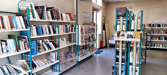 Bibliothèque De Chavanoz, Bibliothèque à Chavanoz