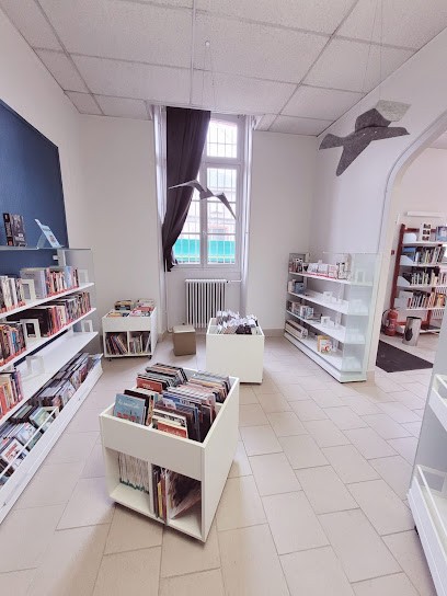 Bibliothèque Du Malesherbois, Bibliothèque au Malesherbois