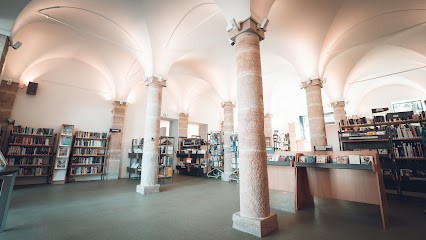 Médiathèque Firmin Gémier, Bibliothèque à Saint-Amour