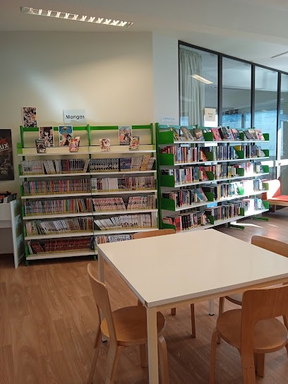 Médiathèque De Foix, Bibliothèque à Foix