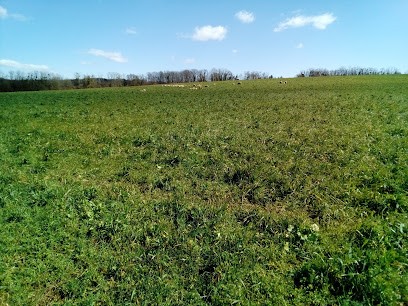 Médiathèque Jura Nord, Bibliothèque à Gendrey