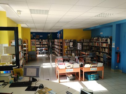 Bibliothèque Intercommunale de Vatan, Bibliothèque à Vatan