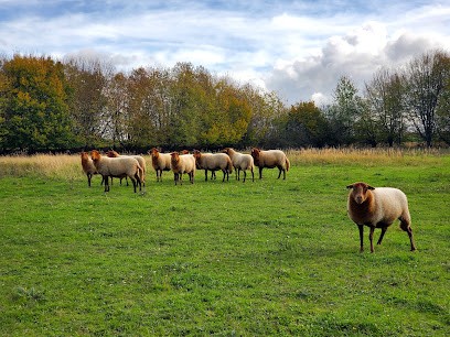 Technical Center Bibliothèque Nationale De France, Bibliothèque à Bussy-Saint-Georges