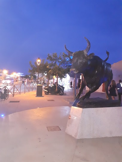 Bibliotheque, Bibliothèque à Saintes-Maries-de-la-Mer