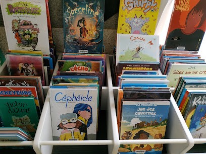 Bibliothèque De Vecqueville, Bibliothèque à Vecqueville