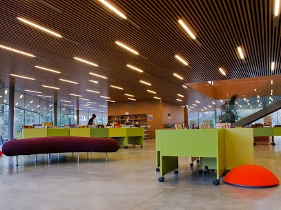 Médiathèque des Gaves, Bibliothèque à Oloron-Sainte-Marie