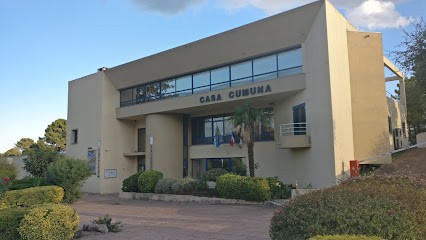 Bibliothèque De Sainte Lucie De Porto-Vecchio, Bibliothèque à Zonza