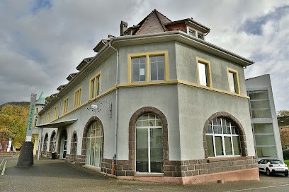 Médiathèque De Thann, Bibliothèque à Thann