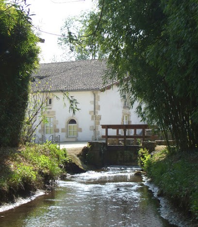 Bibliothèque Municipal La Mothe Saint-Héray, Bibliothèque à La Mothe-Saint-Héray