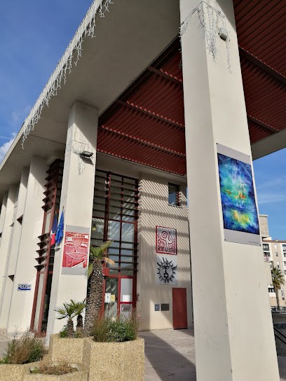 Bibliothèque André Verdet, Bibliothèque à Carros