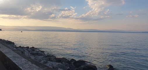 Médiathèque Publier, Bibliothèque à Publier