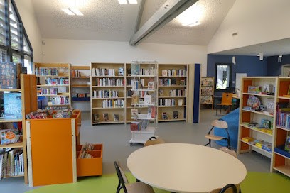 Bibliothèque, Bibliothèque à Saint-Michel-de-Volangis