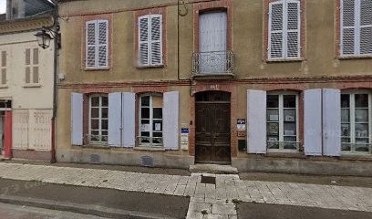 Bibliothèque, Bibliothèque à Villeneuve-l'Archevêque